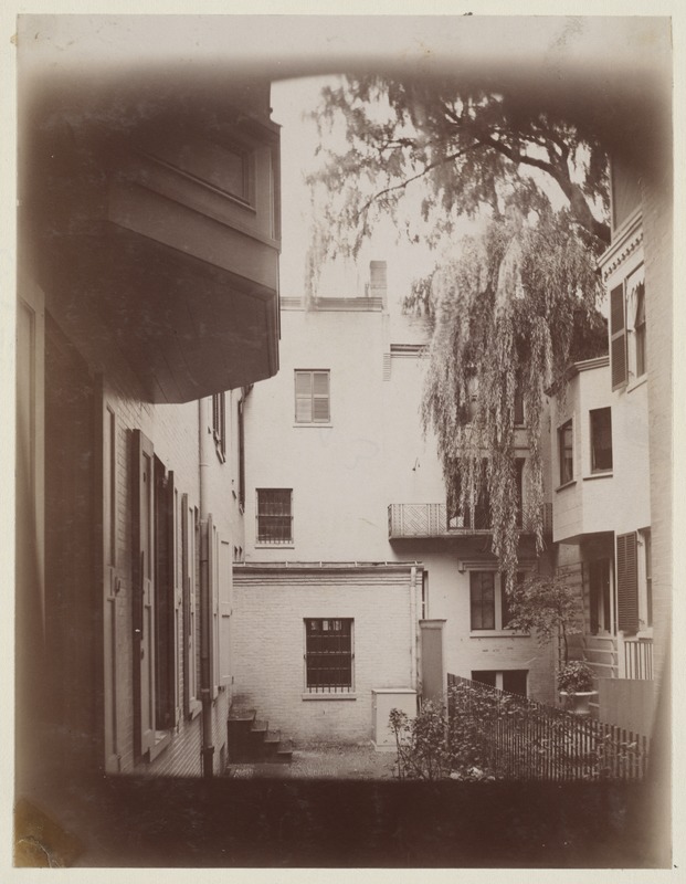 Court yard with willow tree Digital Commonwealth