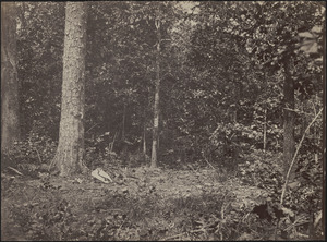 Scene of General McPherson's death in front of Atlanta