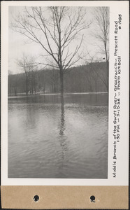 Swift River - Middle Branch, Greenwich-Prescott Road, flood photo, Mass., Mar. 19, 1936
