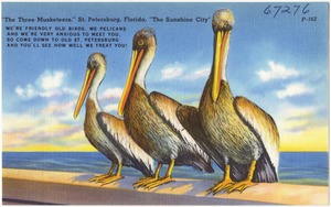 "The three musketeers," St. Petersburg, Florida, "the sunshine city"