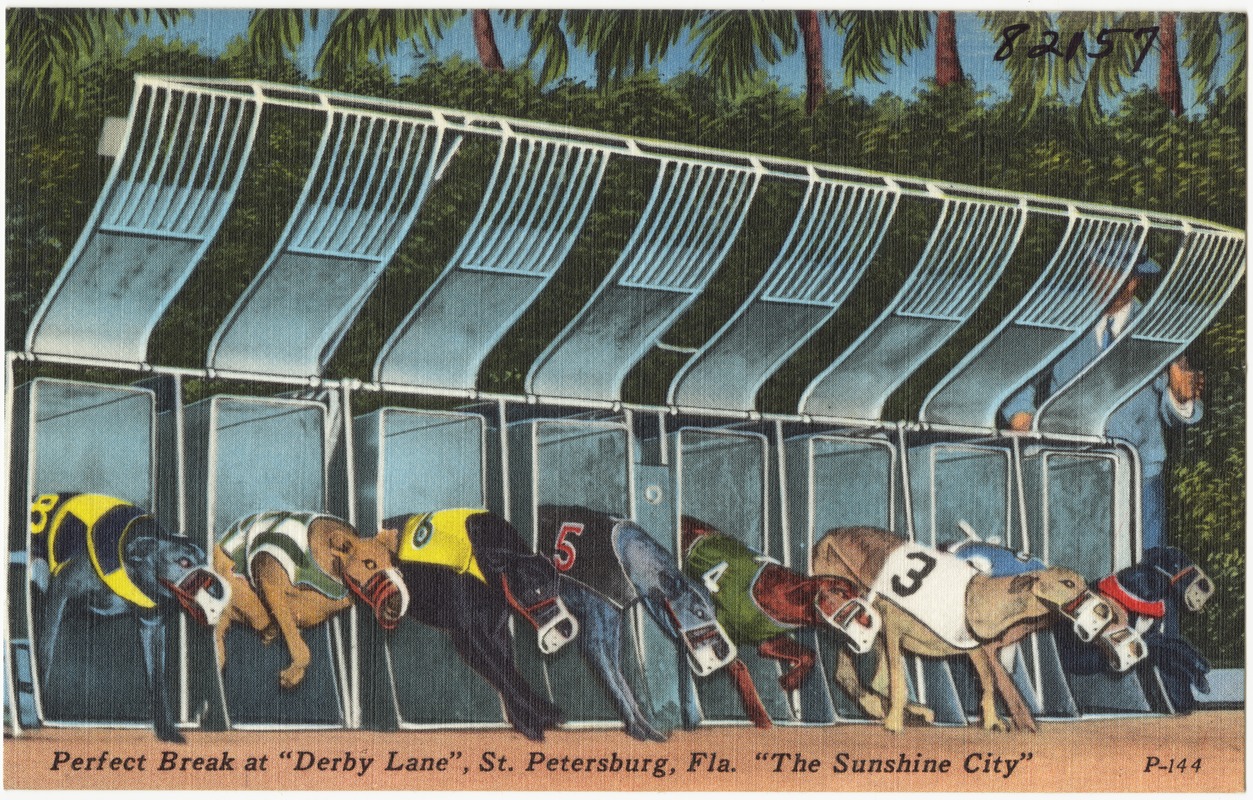 Perfect break at "Derby Lane", St. Petersburg, Florida, "the sunshine city"