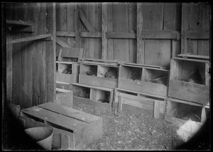 Inside brooding houses. Incubators for hens to set on eggs
