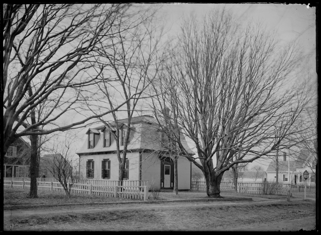 WT, Music Street library with linden trees in front which blew down around 1926 in big gale.