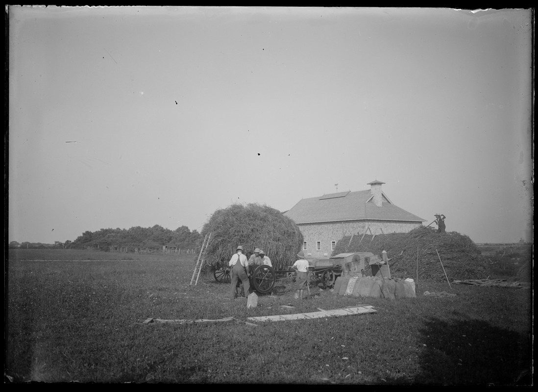 At James Adams farm on So. Road where David Douglas owns now (tackshop), just out of WT. Threshing grain