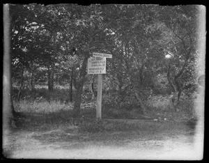 Road sign, probably on State Road (then town road?). Poss. @ Brandy Brow, somewhere in W. Tisbury