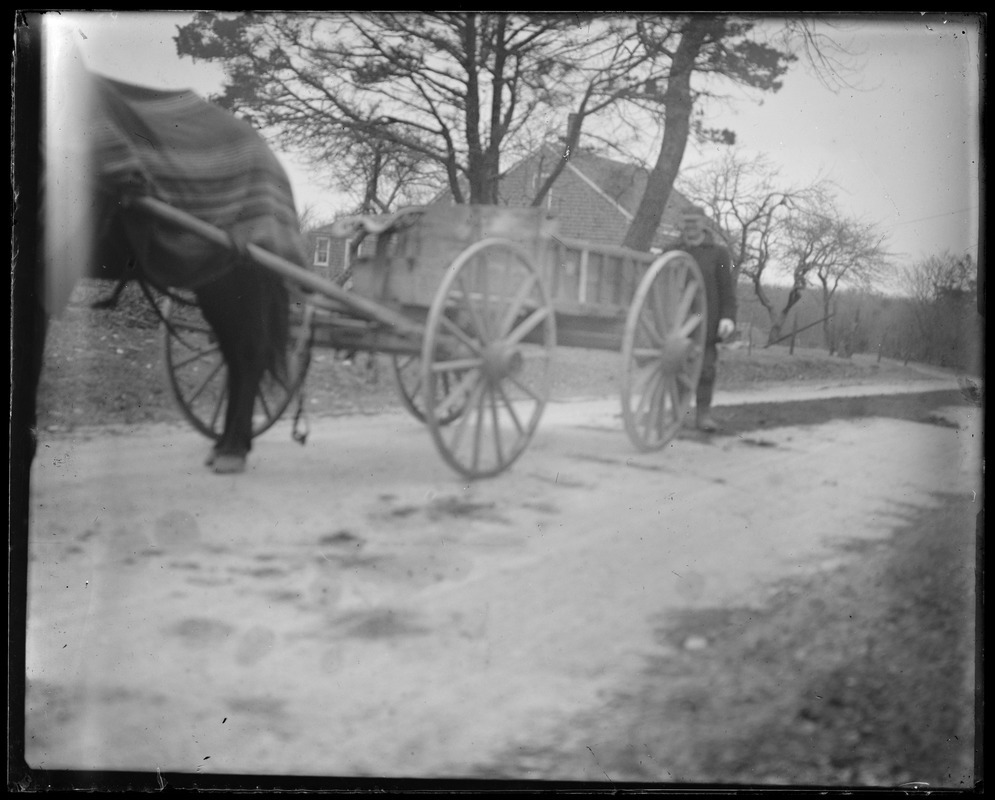 Horse & wagon & building