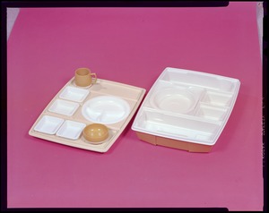 Food lab, Dinex tray & cover