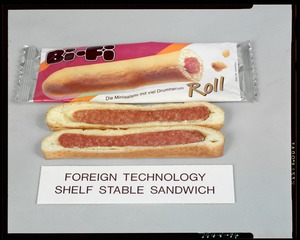 Foreign technology shelf stable sandwich