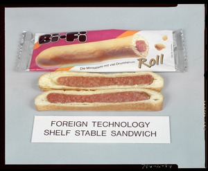 Foreign technology shelf stable sandwich