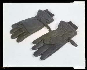 IPD, gloves