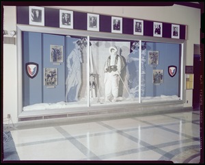 Lobby window display - cold weather, shot with a polarizing filter