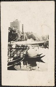 Swan boats in Boston Public Garden