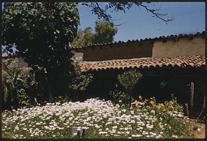 Garden, possibly San Diego