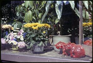 Flowers and bear figurines in window display