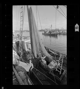 Fishing boats and fishermen, Gloucester