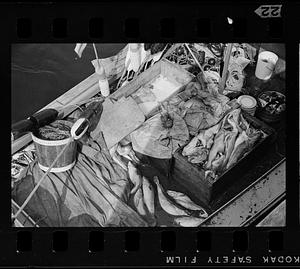 Fisherman's catch on boat, Monhegan Island, Maine