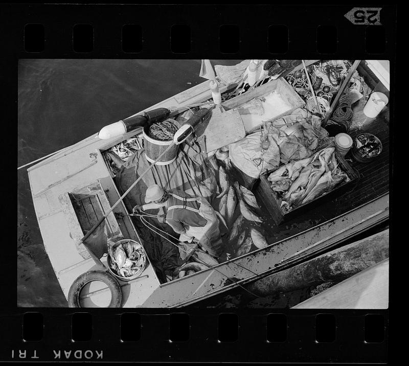 Fisherman's catch on boat, Monhegan Island, Maine