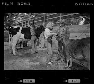 Caring for cows at Eastern States Exposition, Springfield