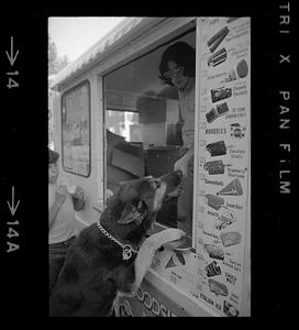 Dog gets ice cream on credit, Somerville