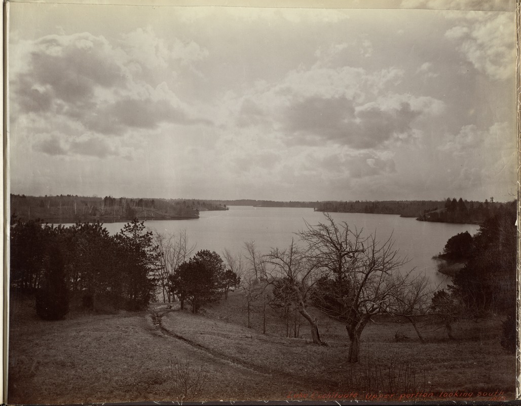 Sudbury Department, Lake Cochituate, upper portion looking south, Framingham; Wayland, Mass., 1893