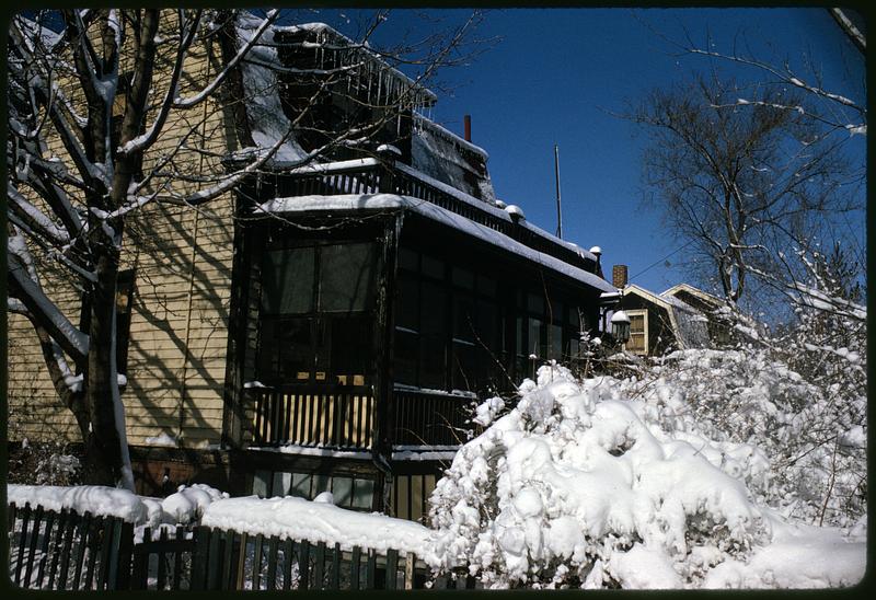 Snow-covered plants on side of house