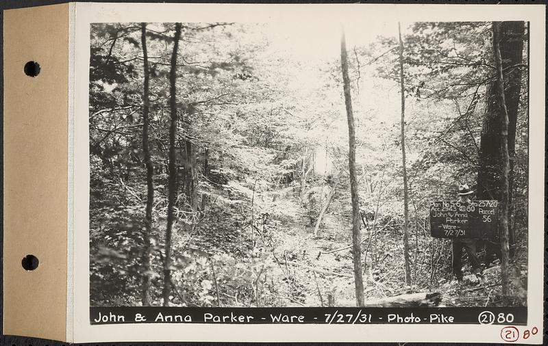 Contract No. 21, Portion of Ware-Belchertown Highway, Ware and Belchertown, land of John and Anna Parker, Plan No. S-6 Ware, Mass., Jul. 27, 1931