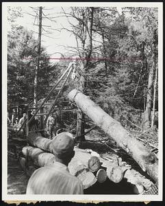 'Demonstration' of the mechanical loading of white pine logs at the third (3rd) annual Tree Farm Family meeting, S.D. Warren Company of Cumberland Mills, Maine. Although a 'demonstration' it was doing an actual woods operation.