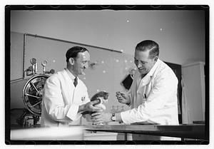 Dr. Dailey Angell Memorial Animal Hospital
