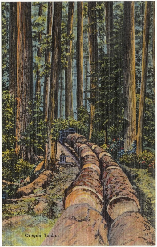 Oregon Timber Digital Commonwealth