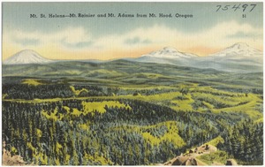 Mt. St. Helens -- Mt. Rainier and Mt. Adams from Mt. Hood, Oregon