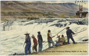 Fish Wheel and Indian Snagging Salmon at Celilo Falls on Columbia River, Oregon. Indians have perpetual fishing rights at the falls.