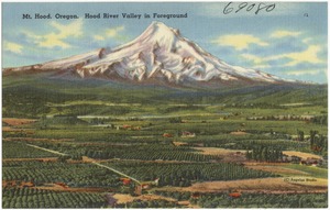 Mt. Hood, Oregon. Hood River Valley in foreground