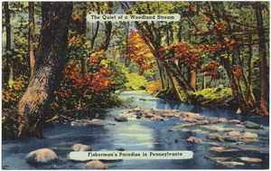 The quiet of a woodland stream, fisherman's paradise in Pennsylvania