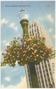 Flower stands, Allenstown, Pa.