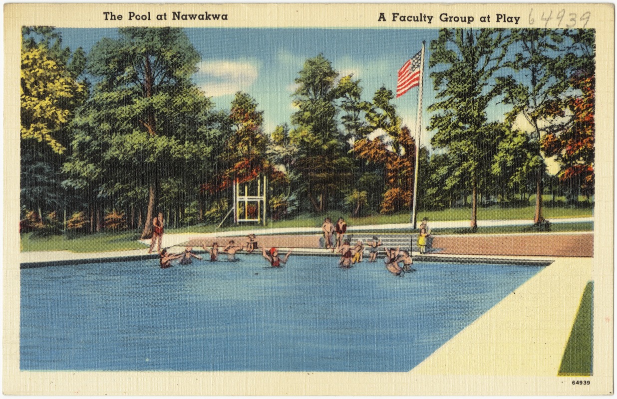 The pool at Nawakwa. A faculty group at play
