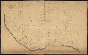 Plan of a part of New Brighton, Staten Island, showing the 500 blocks comprised in a proposed sale of lots
