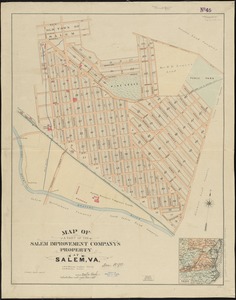 Map of a part of the Salem Improvement Company's property at Salem, Va