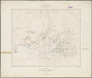 Special map of Rossland, British Columbia