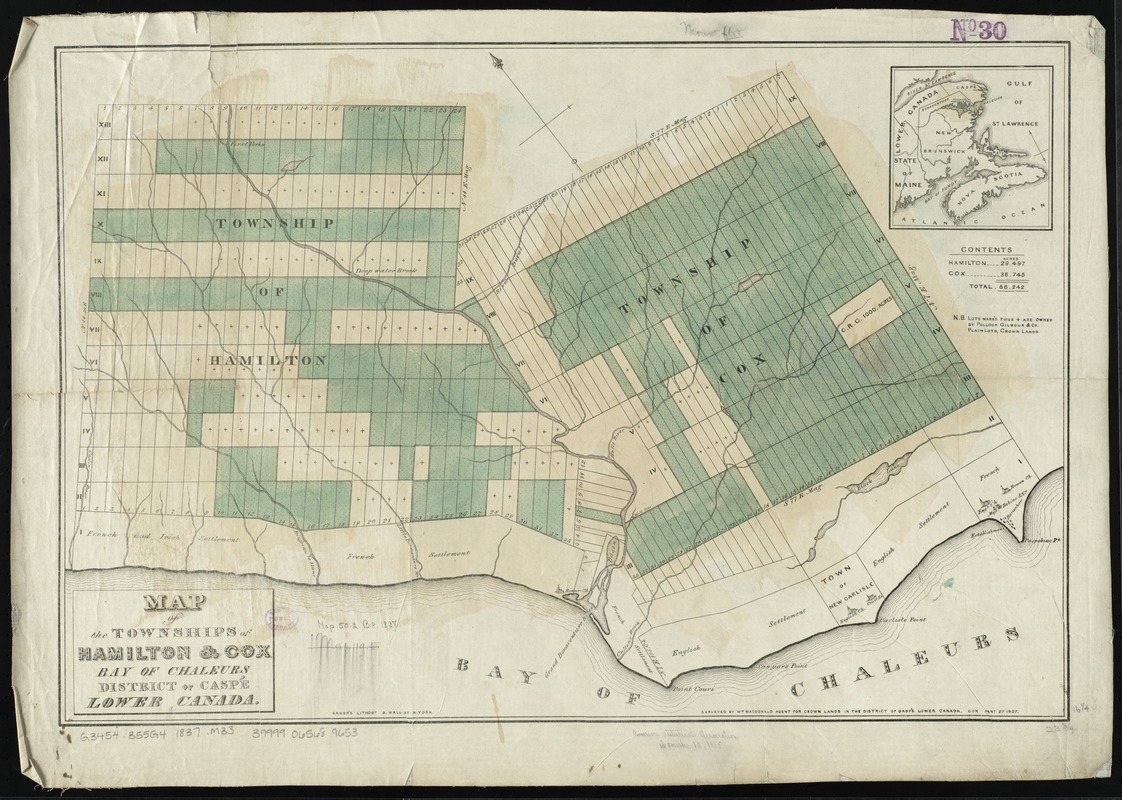 Map of the townships of Hamilton & Cox, Bay of Chaleurs, District of Caspé, Lower Canada