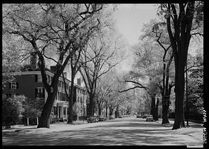 Street scene