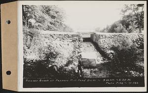 Beaver Brook at Pepper's mill pond dam, Ware, Mass., 9:00 AM, Jun. 25, 1936