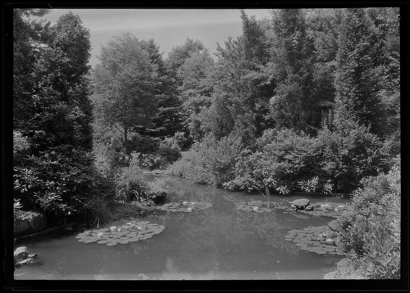 Water garden on the Emery estate