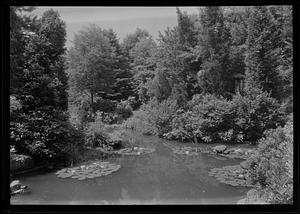 Water garden on the Emery estate