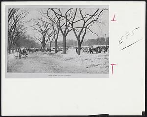 Snow Dump on the Common.