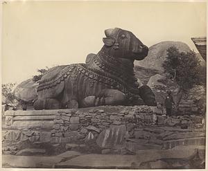Stone bull or Basava on Chamundi Hill, city of Mysore