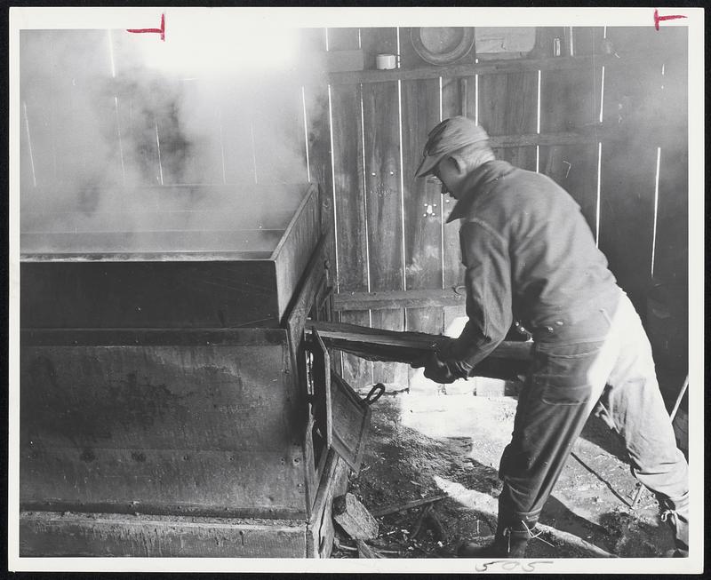 Milton Fullerton Top Acres So. Woodstock, Vt. The maple