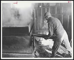 Milton Fullerton - Top Acres - So. Woodstock, Vt. - The maple evaporator is shown adding more wood to the fire that boils the sap down to syrup.