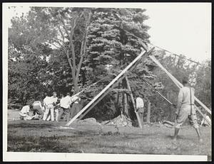Theological students at Andover Newton Theological School, Newton Centre, resetting a fine old spruce on their 40-acre hilltop campus, under the direction of Vernon Rowell, tree expert.