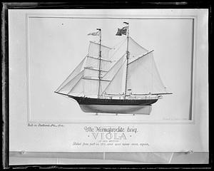 The Hermaprodite brig Viola of New Bedford