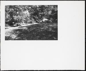 Forest, Boston